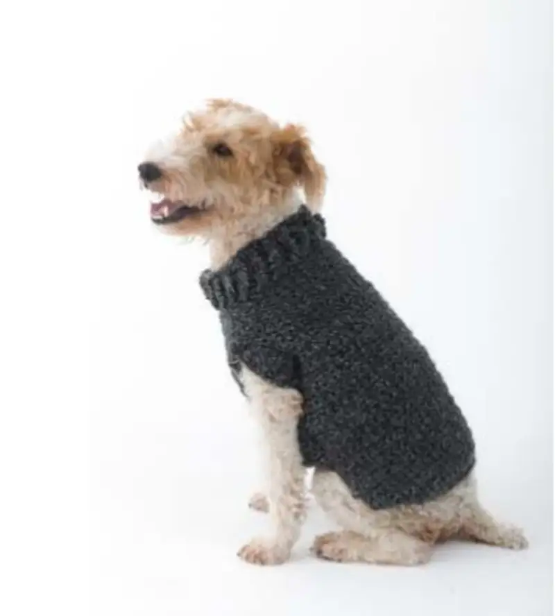Complimentary Beginner Friendly crochet pattern: The Poet Dog Sweater Pattern - Simple to follow guide